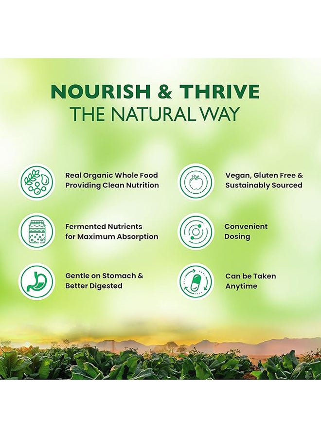 Once A Day Formula For Digestive Balance Colon And Immune Health With 50 Billion Cfu And 16 Probiotic Strains