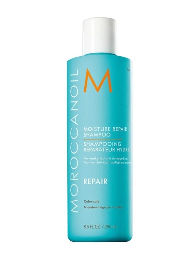Moroccanoil Moisture Repair Shampoo 250ml