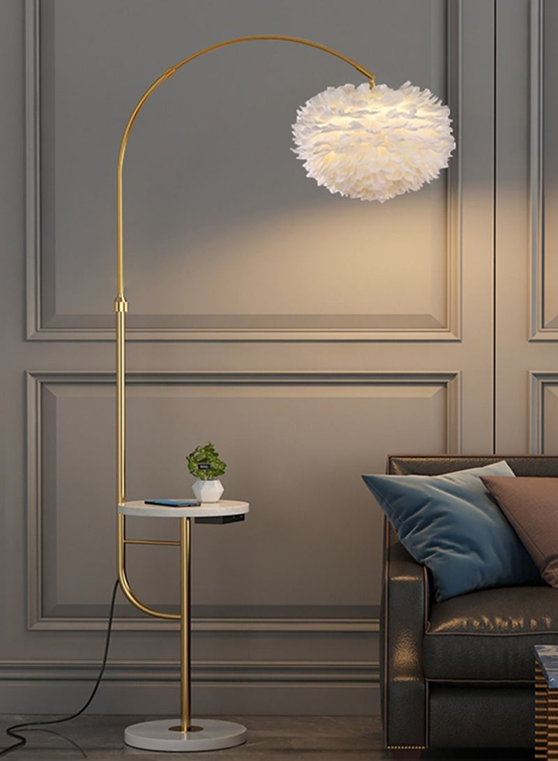 Feather Lamp with Tray Floor Lamp Standing Lamp for Home Hotel Office Living Room Bedroom LED 3 Colour Adjustable E27 Bulb Height Adjustable Gold Color H170xW28xL76cm