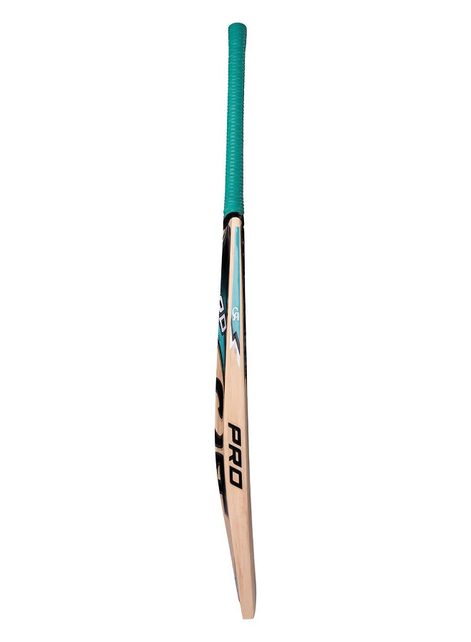 CA PRO 2000 English Willow Cricket Bat - SH