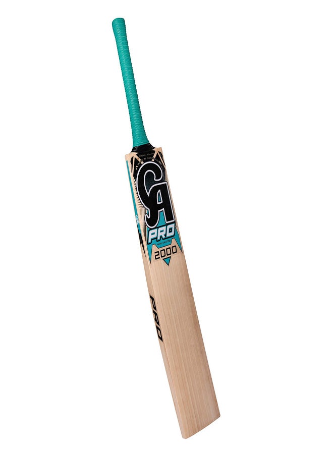 CA PRO 2000 English Willow Cricket Bat - SH