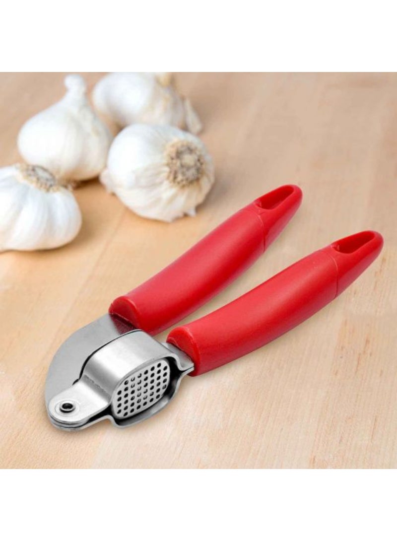 Steel Garlic Press