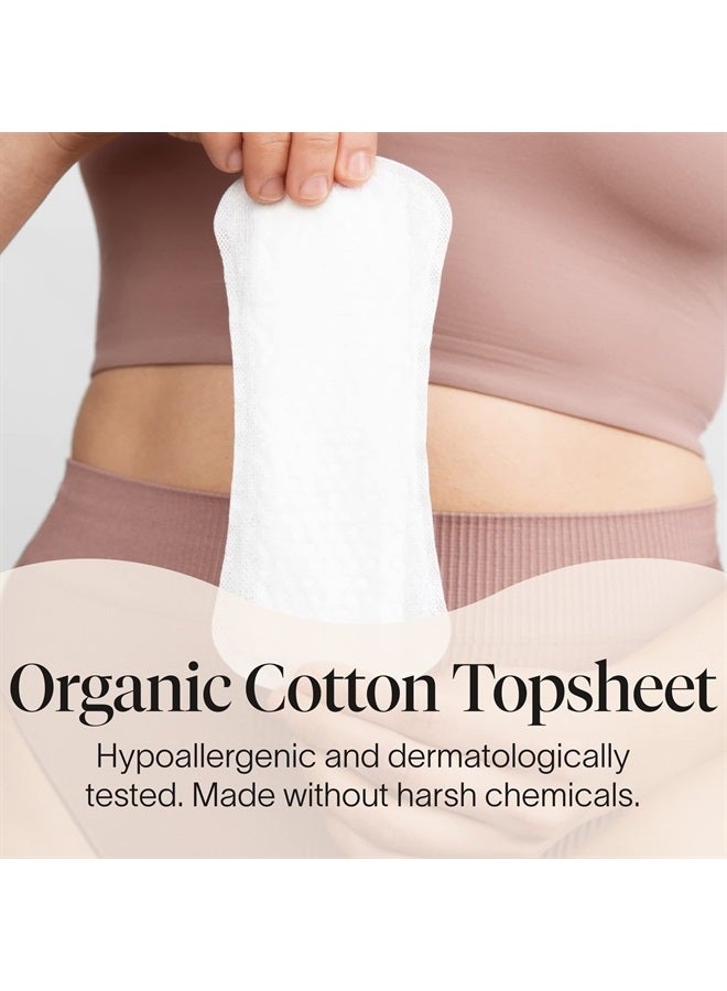Period Regular Liners | 100% Organic Cotton Topsheet | Ultra Thin, Quick Absorbency | Hypoallergenic | Dermatologically Tested | Unscented, No Wings (144 Liners)