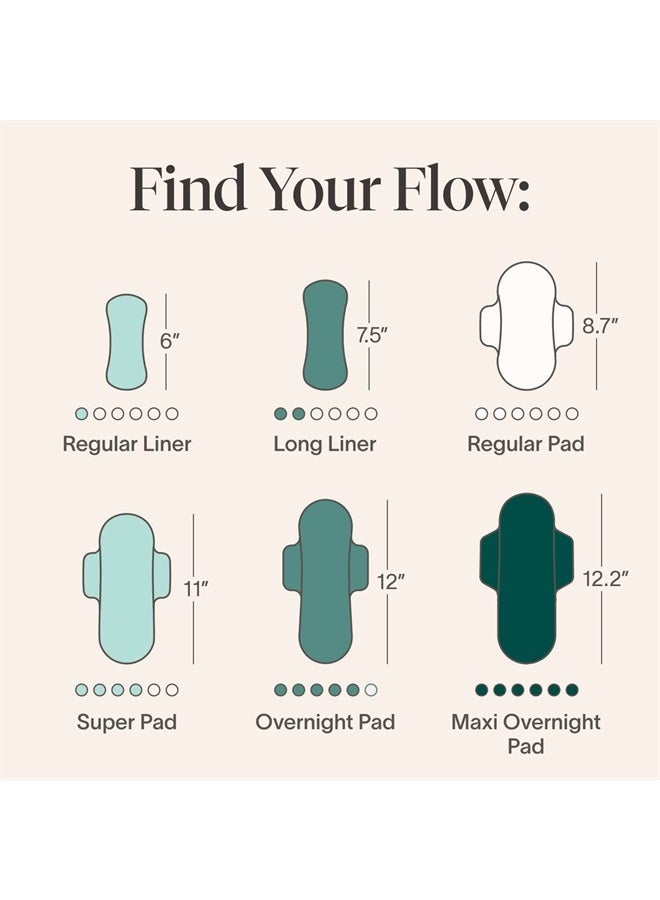 Period Regular Liners | 100% Organic Cotton Topsheet | Ultra Thin, Quick Absorbency | Hypoallergenic | Dermatologically Tested | Unscented, No Wings (144 Liners)