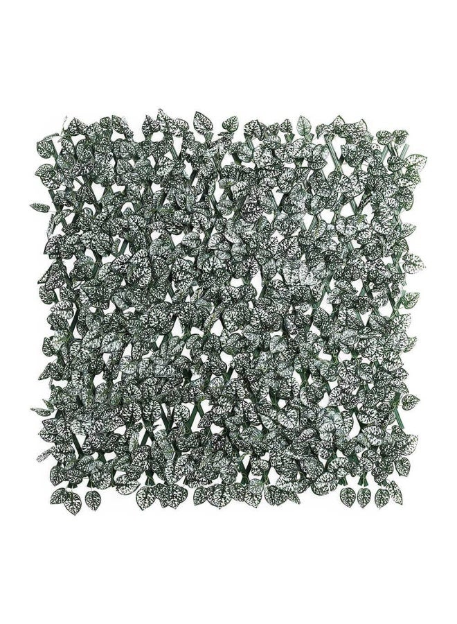 Wall Creep 1M Extend Upto 2M