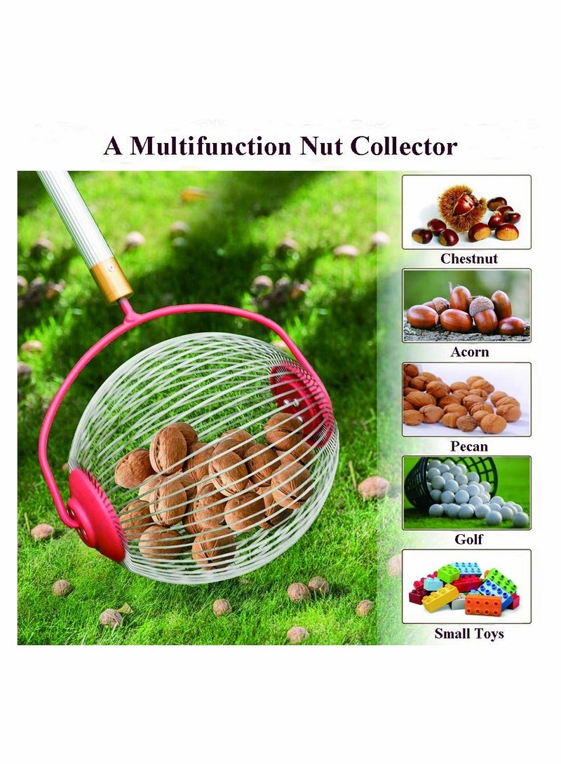 Nut Harvester Ball Picker Stainless Steel Adjustable Lightweight Collect Walnuts, Pecans, Crab Apples, Nerf Darts and Small Fruit Objects 1''to 3'' in Size