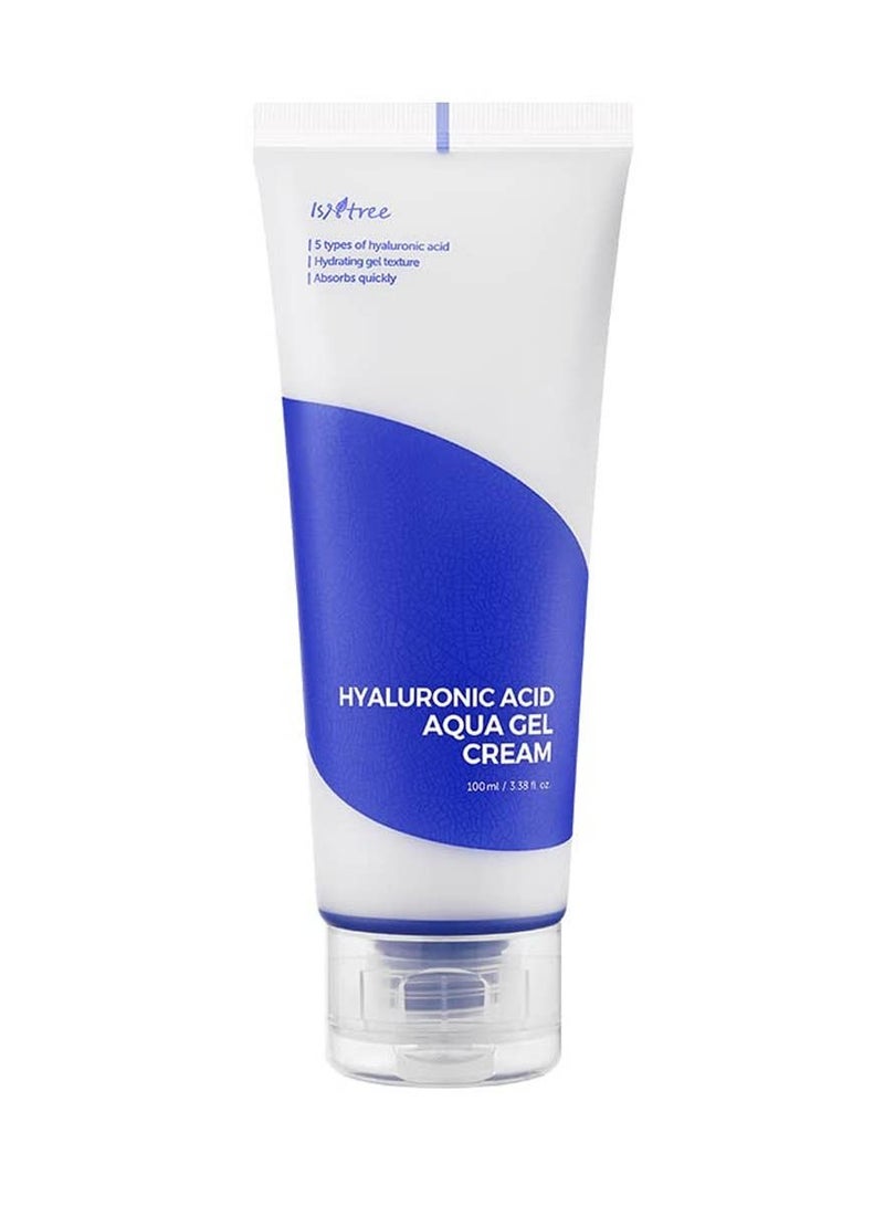 Isntree Hyaluronic Acid, Aqua Gel Cream, 100 ml