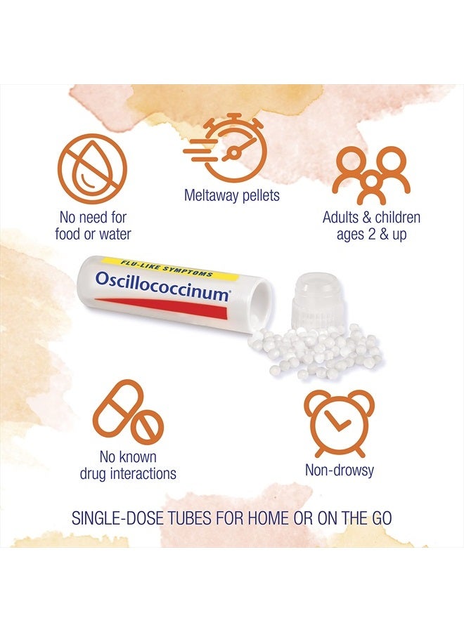 Oscillococcinum For Relief From Flulike Symptoms Of Body Aches Headache Fever Chills And Fatigue 12 Count