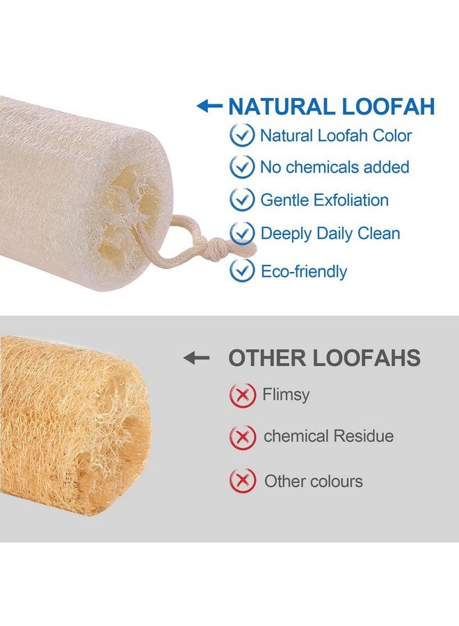 Organic Natural Loofah Sponge (2 Pack) Large 6“ Natural Loofah Exfoliating Body Scrubber Egyptian Loofa Eco Friendly 100% All Natural Luffa Cleaning For Deep Clean Skin Care Bath Spa Shower Men Women