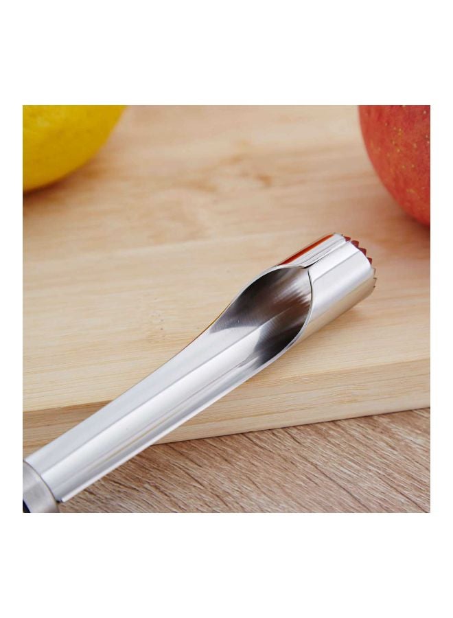 Stainless Steel Fruit Corer Remover Silver