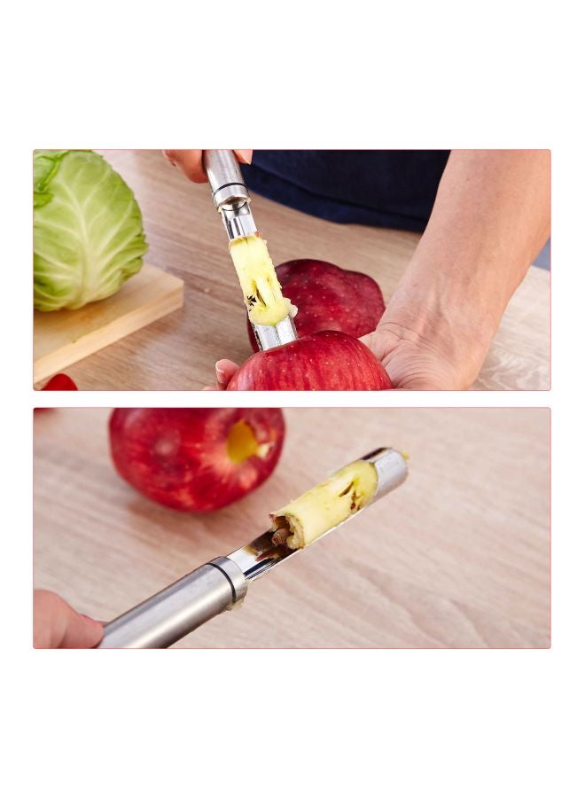 Stainless Steel Fruit Corer Remover Silver