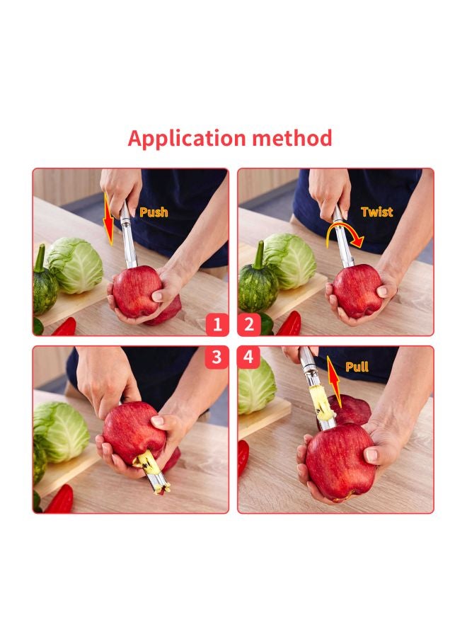 Stainless Steel Fruit Corer Remover Silver