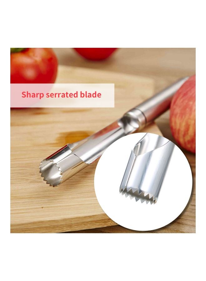 Stainless Steel Fruit Corer Remover Silver