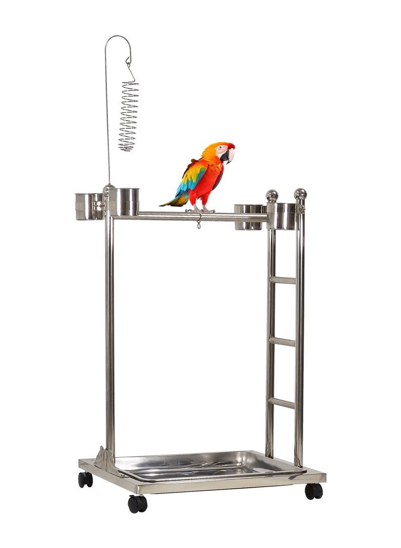 Stainless steel parrot stand with Toy hook, Feeding bowls, Removable tray, Climbing ladder, and Universal wheels, Bird Play stand suitable for medium and large parrots 126 cm (Silver)