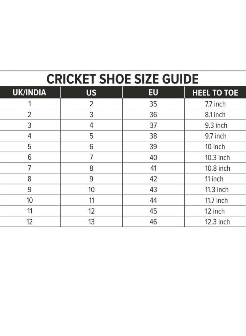 Zooter Cricket Shoes | For Boys and Men | Polyvinyl Chloride | 3 UK, 4 US, 37 EU | Supportive Fit | Durable Build |  Performance-Enhancing