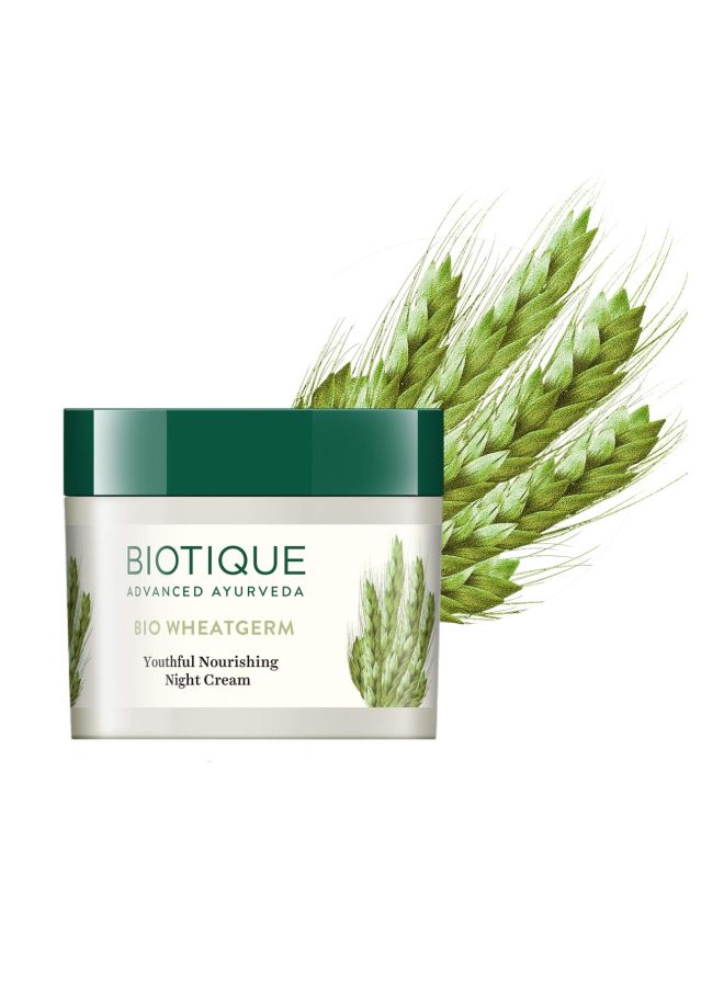2-Piece Bio Wheatgerm Youthful Nourishing Night Cream And Morning Nectar Ultra Soothing Face Lotion SPF 30+ Set