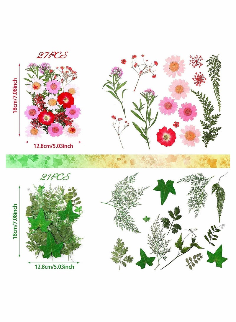 Pressed Flowers Resin Flowers for Resin Mold, Real Daisy Dried Flower Leaves Natural with Tweezers for Scrapbooking DIY Candle Accessories Jewelry Crafts Making (Colorful Style)