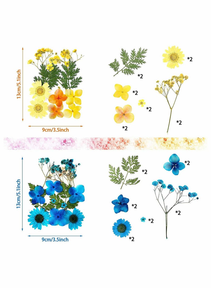 Pressed Flowers Resin Flowers for Resin Mold, Real Daisy Dried Flower Leaves Natural with Tweezers for Scrapbooking DIY Candle Accessories Jewelry Crafts Making (Colorful Style)