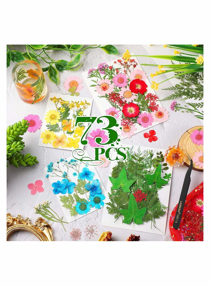 Pressed Flowers Resin Flowers for Resin Mold, Real Daisy Dried Flower Leaves Natural with Tweezers for Scrapbooking DIY Candle Accessories Jewelry Crafts Making (Colorful Style)