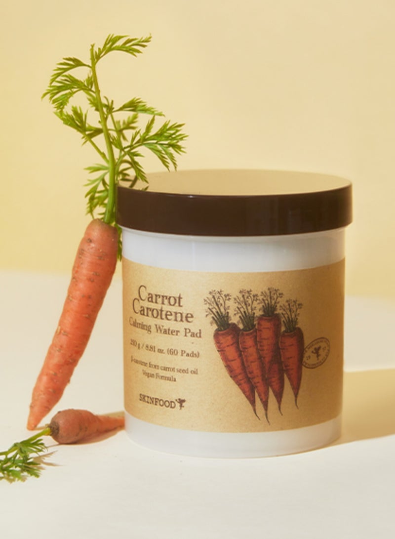 SKINFOOD - Carrot Carotene Calming Water Pad 250g