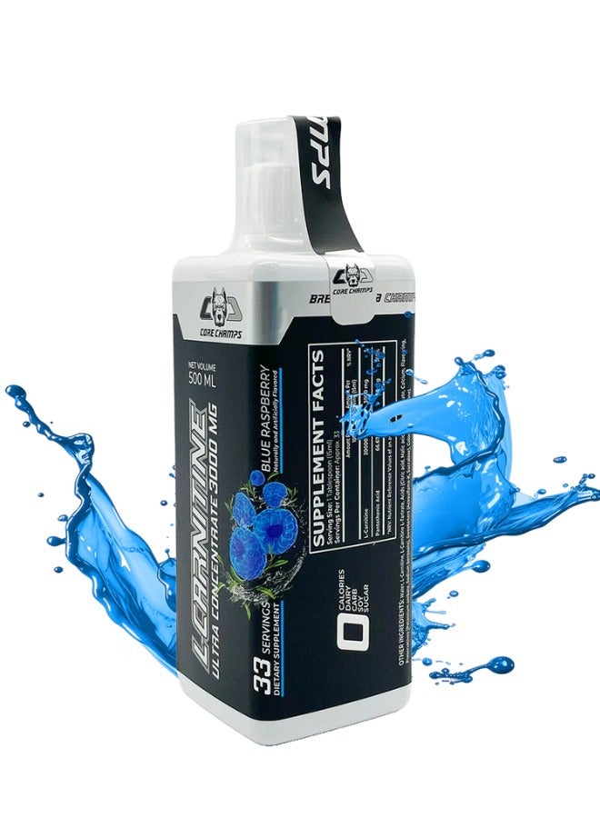 L-Carnitine, Ultra Concentrate 3000mg, Blueraspberry Flavour, 33Servings