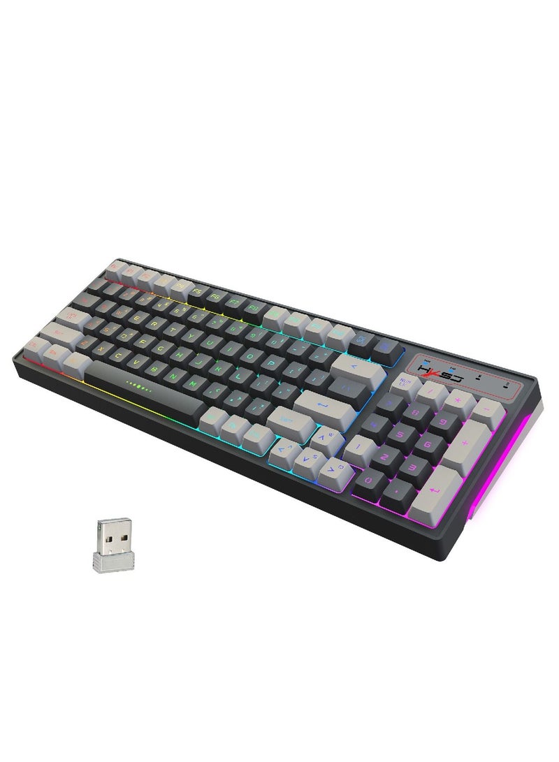 L900  Gaming Keyboard RGB Backlit Two Color Injection Molding Keycap Gray And White Color Matching 2.4G Wireless Keyboard