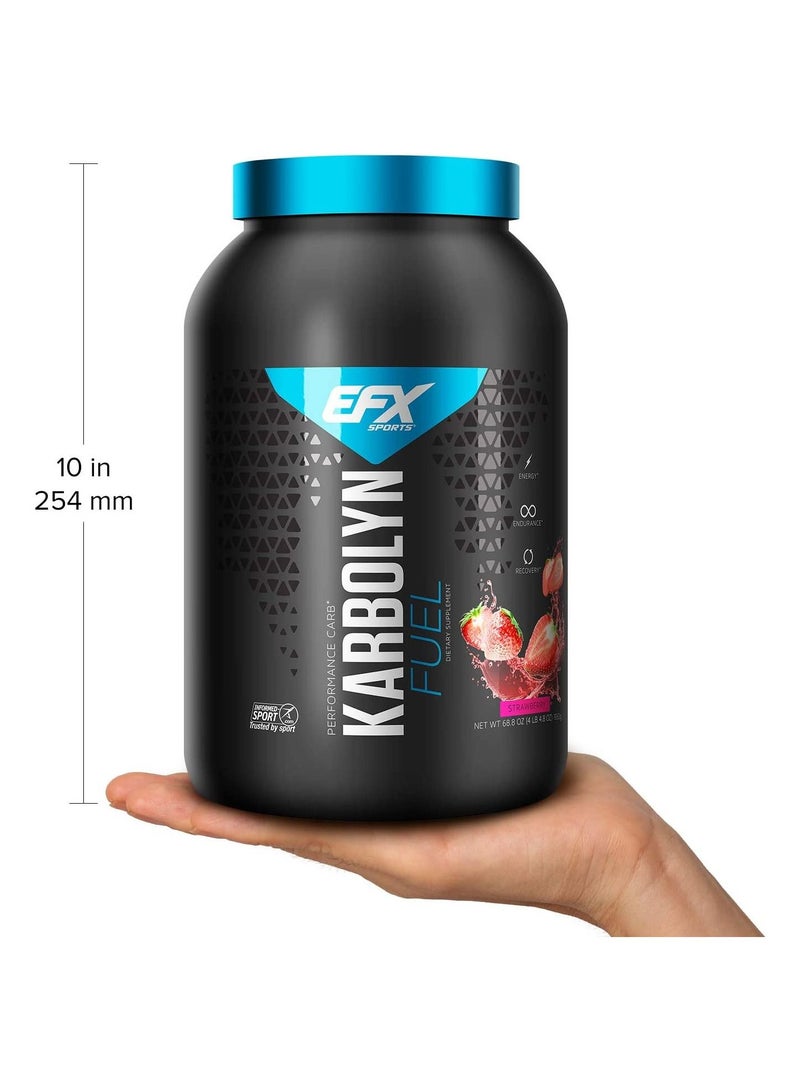 EFX Sports Karbolyn Fuel Pre, Intra, Post Workout Carbohydrate Supplement Powder Carb Load, Energize Improve & Recover Faster Easy to Mix Strawberry 1950gm