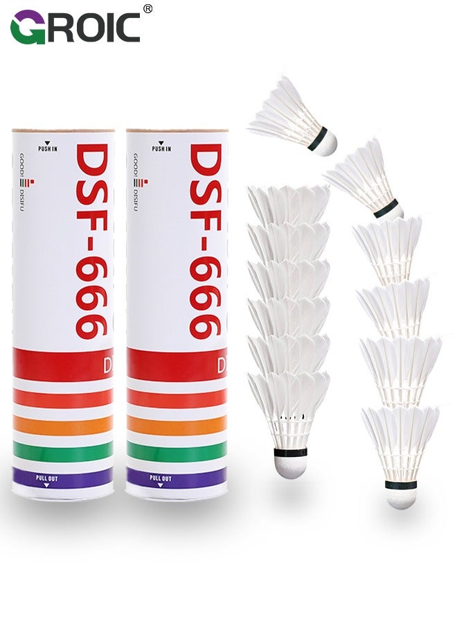 Shuttlecocks Set, 12pcs Badminton Balls, Goose/Duck Feather Head Shuttlecocks with Storage Tube, Sports Training Equipment for Trainers, Amateurs, Beginners, Indoor&Outdoor