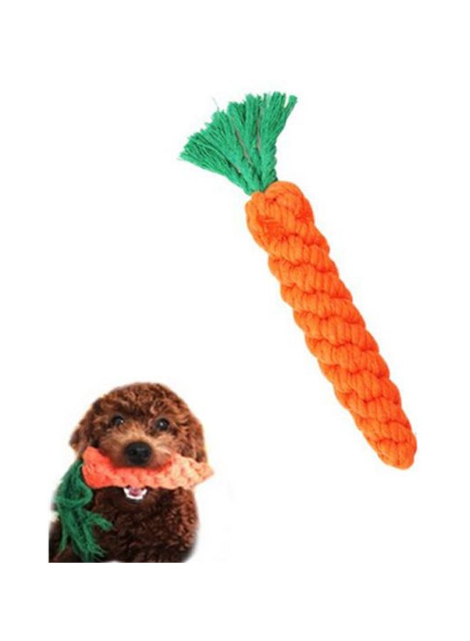 Carrot Shaped Toy Orange/Green