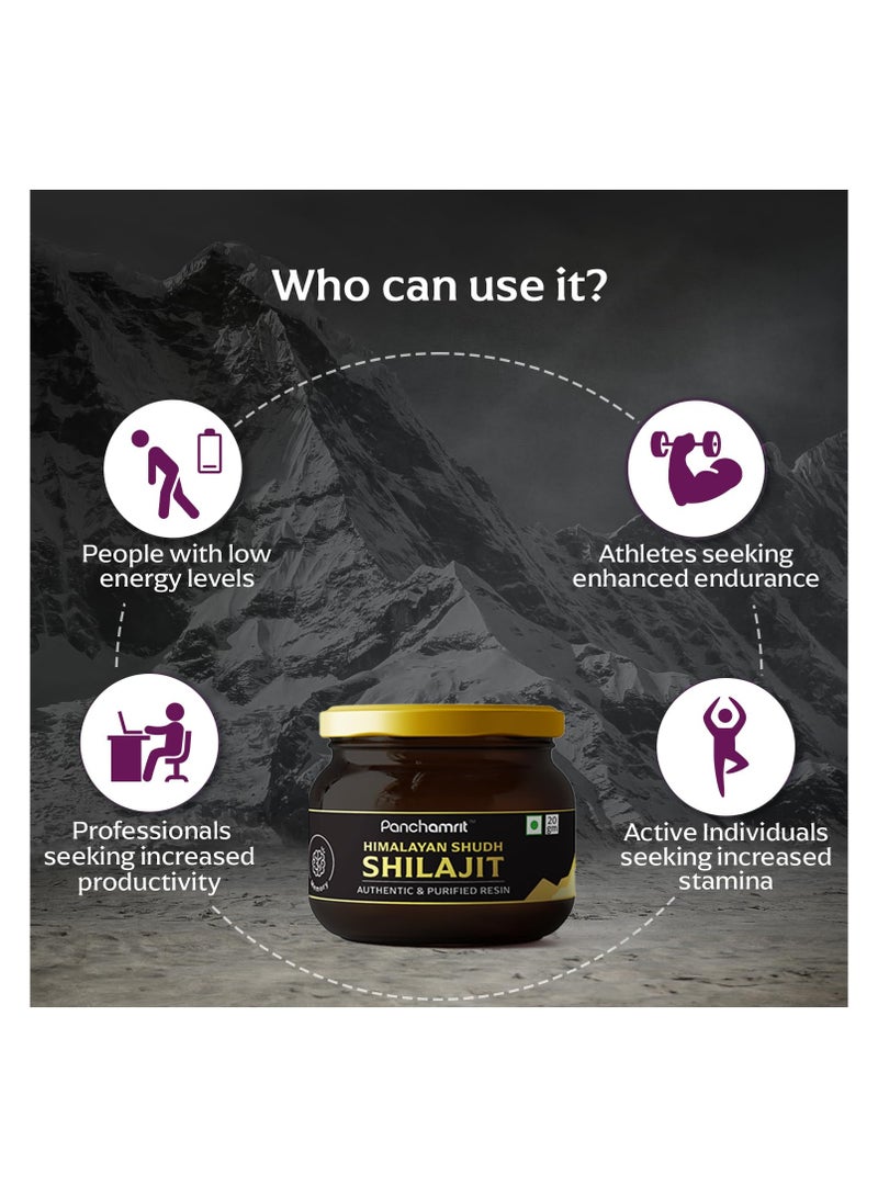 Himalayan Shudh Shilajit Resin- 20g