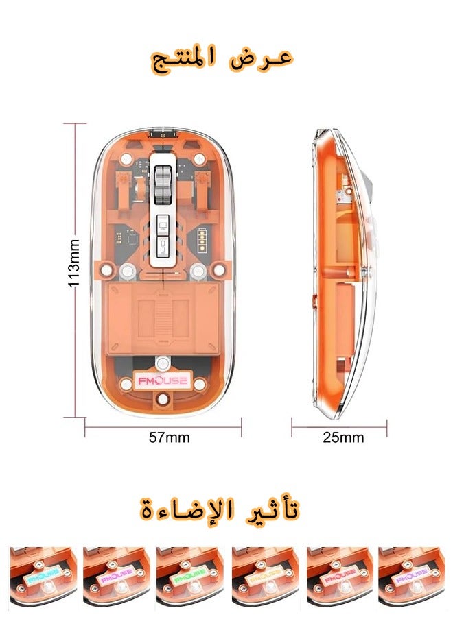 Bluetooth Wireless Mouse Tri-Mode USB C Rechargeable Computer Mouse Full Transparent Silent Mouse with USB Receiver & Type C Adapter