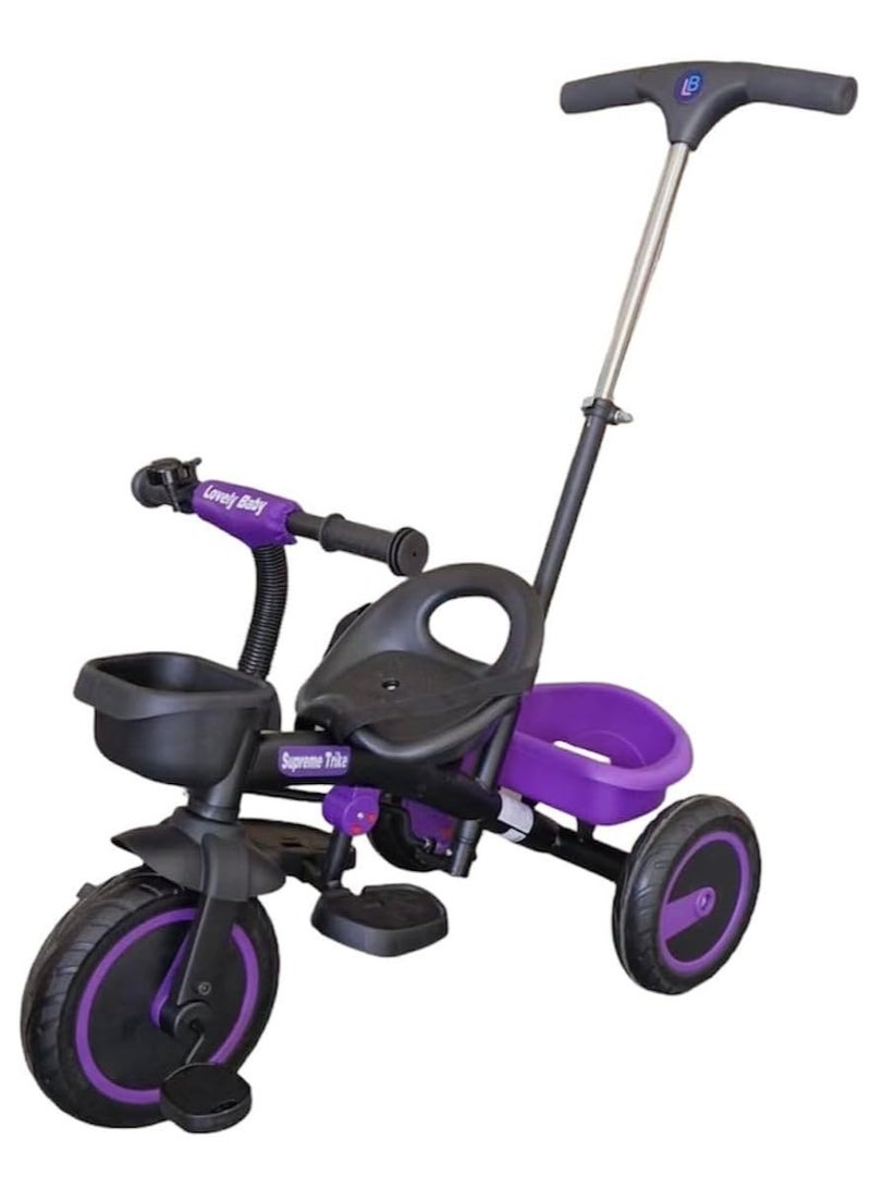 Lovely Baby Kids Tricycle KT 004 - Purple