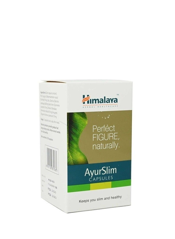 Ayur Slim Capsules 120 Per Pack