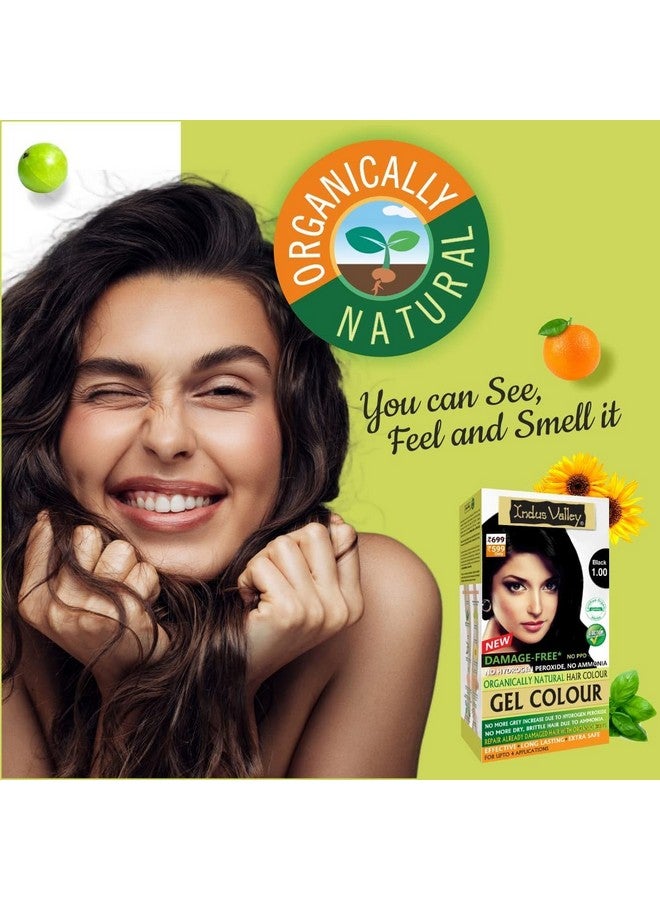 Natural Organic Damage Free Gel Hair Color Ammonia Free Vegan & Cruelty Free Up To 100% Gray Coverage Long Lasting Results Black 1.0 (20Gram+200Ml)
