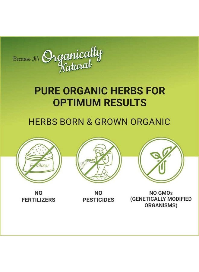 Natural Organic Damage Free Gel Hair Color Ammonia Free Vegan & Cruelty Free Up To 100% Gray Coverage Long Lasting Results Black 1.0 (20Gram+200Ml)