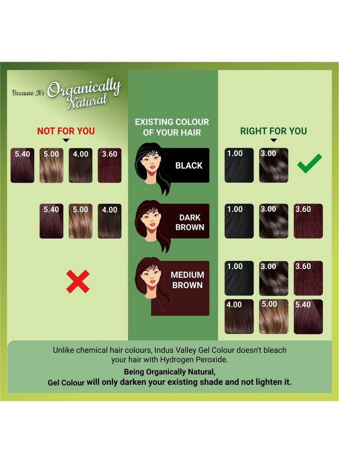 Natural Organic Damage Free Gel Hair Color Ammonia Free Vegan & Cruelty Free Up To 100% Gray Coverage Long Lasting Results Black 1.0 (20Gram+200Ml)