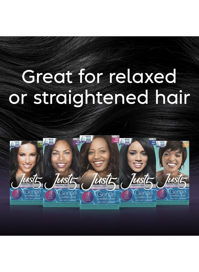 Women'S 5 Minute Permanent Hair Color With Conditioner Grey Hair Coloring For Women Black