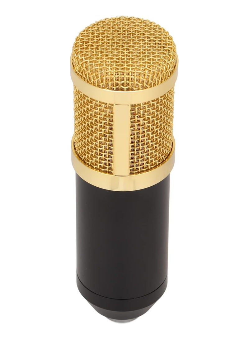 Wired Condenser Microphone, High Output and Low Noise Broadcast Recording Mic, XLR to 3.5mm Microphone with Shockproof Mount, Suitable for Recording Studios