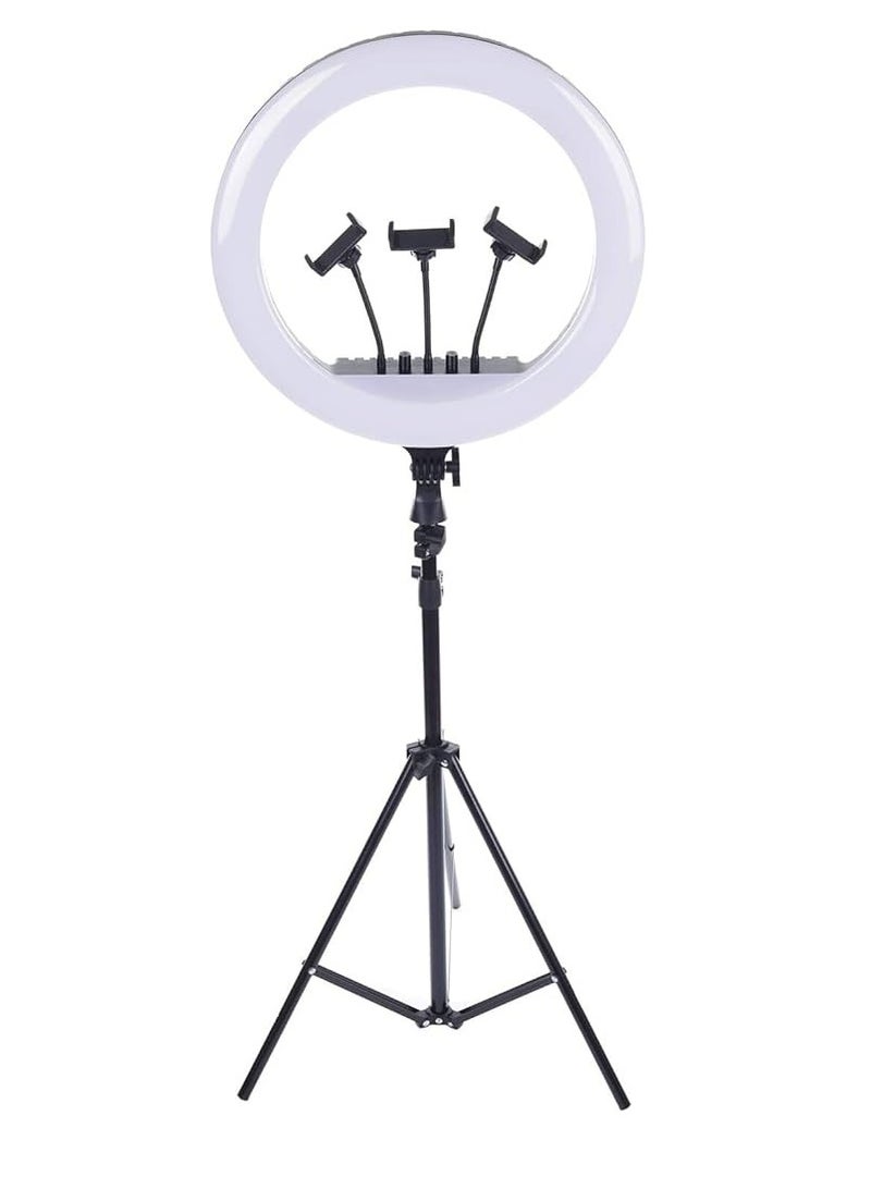 RL-18 LED Ring Light 18 Inch Soft Ring Light for Smartphones Camera YouTube TikTok Videos with Tripod & 3 phone Holders