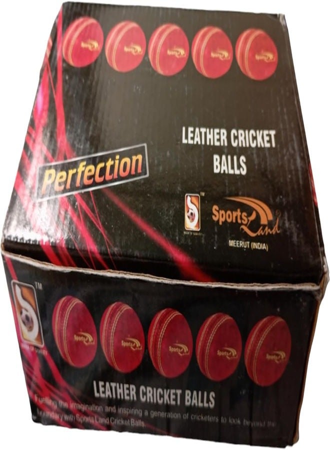 CRICKET HARD BALL(6 pack)