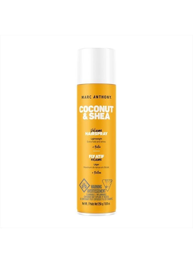 Coconut Oil Volume Hairspray , Basic, 8.8 Ounce