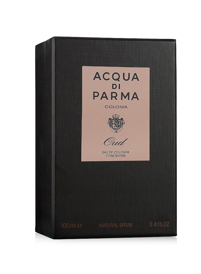 Colonia Oud EDC 100ml