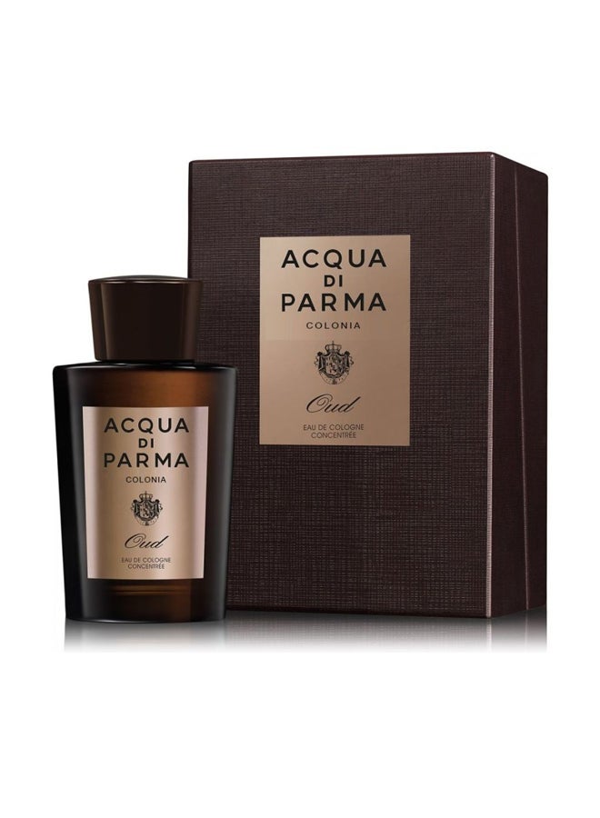 Colonia Oud EDC 100ml