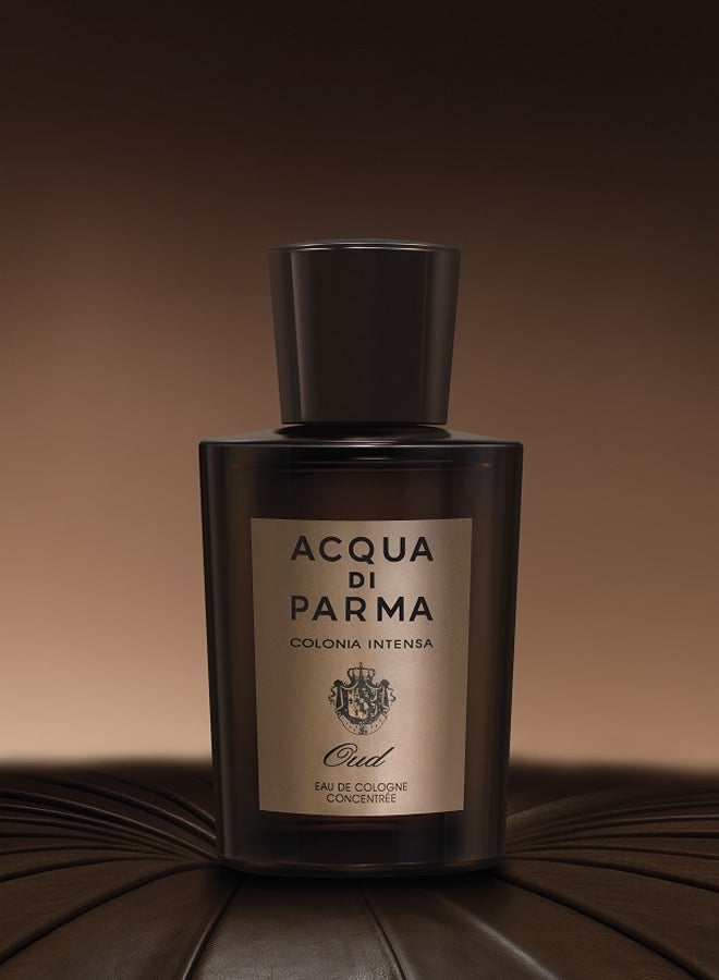Colonia Oud EDC 100ml