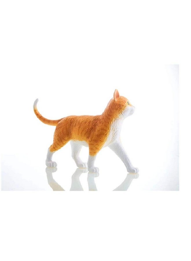 4D Vision Orange Tabby Cat Skeleton & Anatomy Model Kit