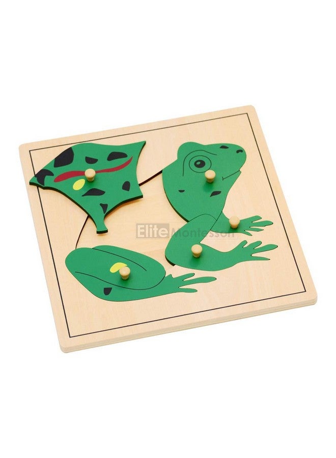 Frog Puzzle