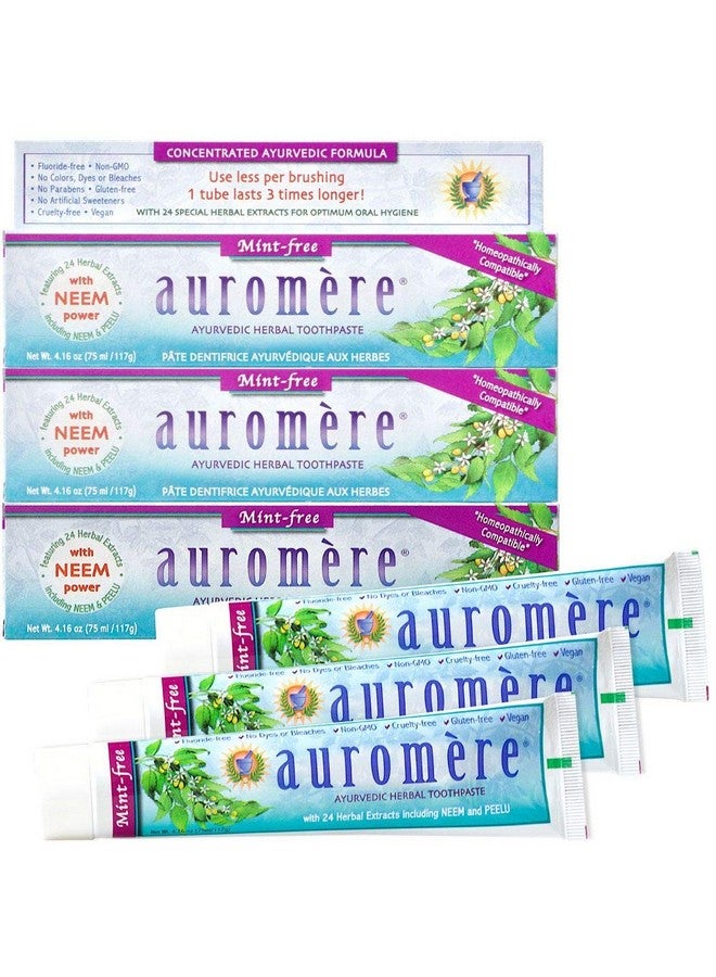 Ayurvedic Herbal Toothpaste Mint Free Vegan Natural Non Gmo Fluoride Free Gluten Free With Neem & Peelu (4.16 Oz) 3 Pack