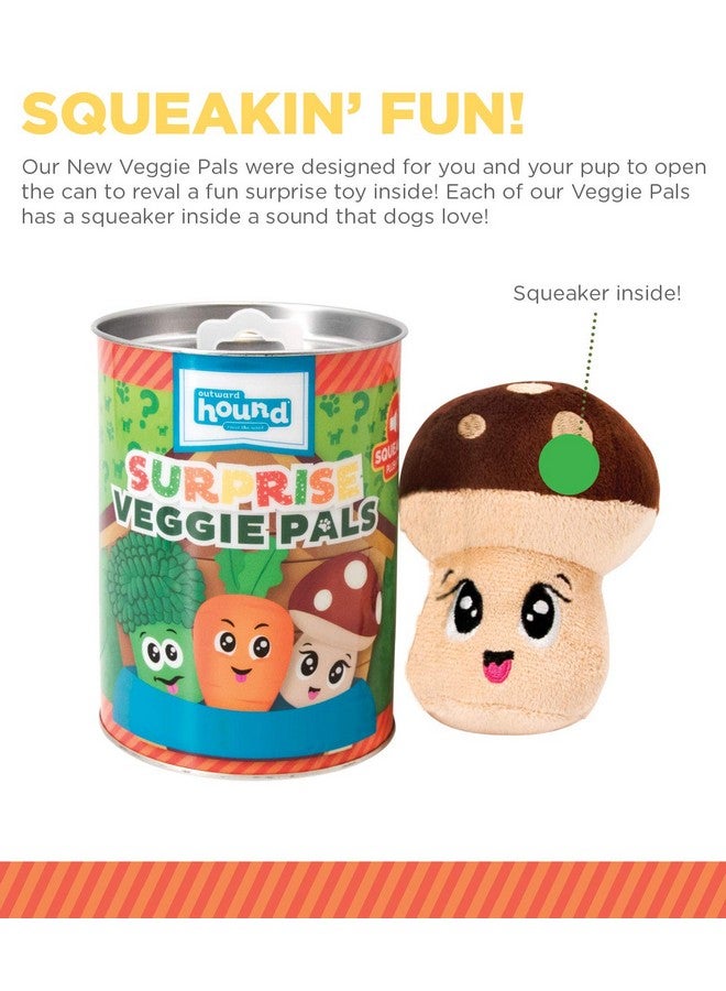 Surprise Veggie Pals Dog Toys Unbox And Surprise! Collect All 3 Squeakin Veggie Pals Dog Toys!