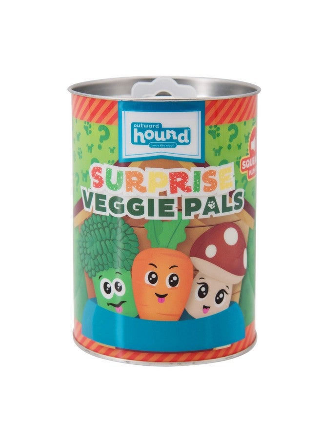 Surprise Veggie Pals Dog Toys Unbox And Surprise! Collect All 3 Squeakin Veggie Pals Dog Toys!