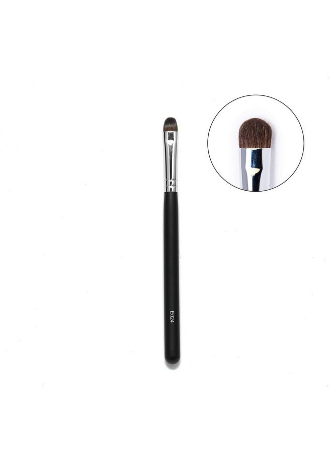 Eyeshadow Application Makeup Brush (24)